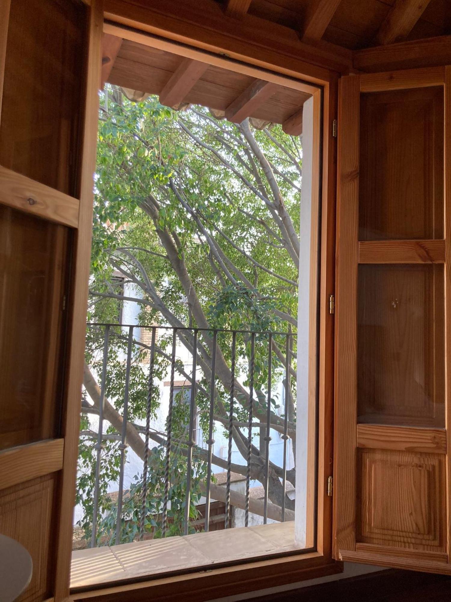 Homestay Carmen Del Almencino Granada